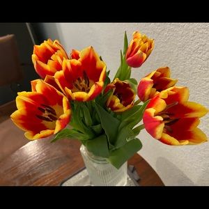 Meet your Posher, Krystal